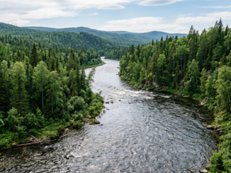 Виртуальная вода