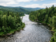 Виртуальная вода